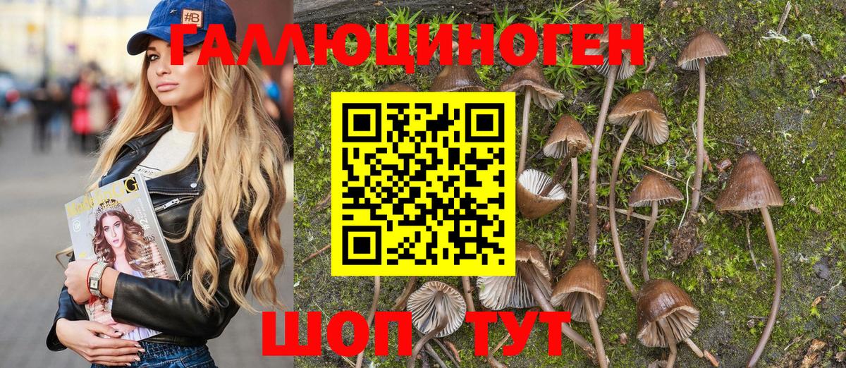 Галлюциногенные грибы Magic Shrooms  Галлюциногенные грибы ЛСД  Вход с VPN  Новый Уренгой 